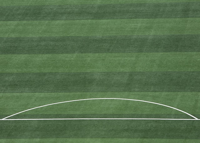 巴伦西亚需 巴伦西亚需