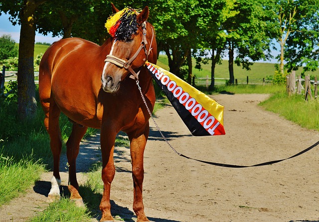 球员来说 球员来说