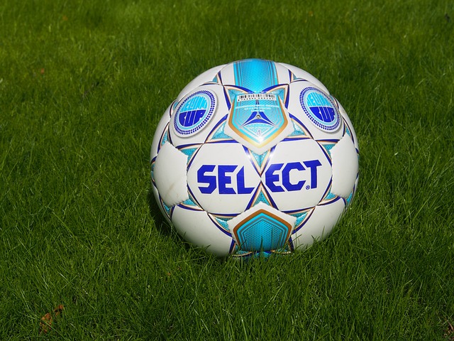 我们必须回 我们必须回