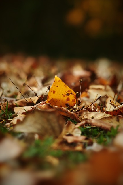 还能让他们 还能让他们